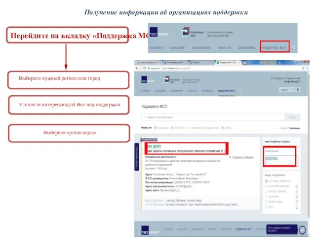 Получение информации об организациях поддержки Перейдите на вкладку «Поддержка МСП» Выберите