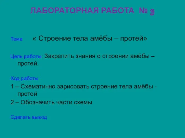 ЛАБОРАТОРНАЯ РАБОТА № 3 Тема « Строение тела амёбы – протей»