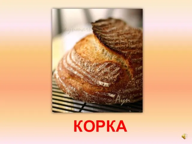 КОРКА