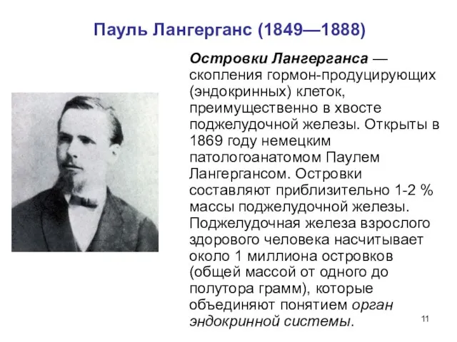 Пауль Лангерганс (1849—1888) Островки Лангерганса — скопления гормон-продуцирующих (эндокринных) клеток, преимущественно