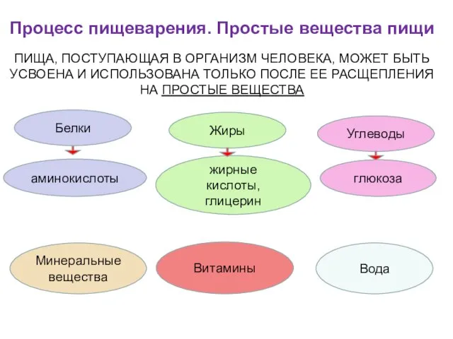 Процесс пищеварения. Простые вещества пищи Белки Жиры Углеводы Вода Минеральные вещества