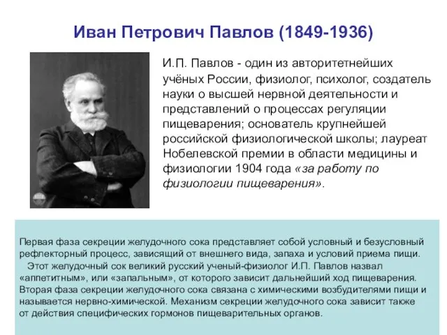 Иван Петрович Павлов (1849-1936) И.П. Павлов - один из авторитетнейших учёных