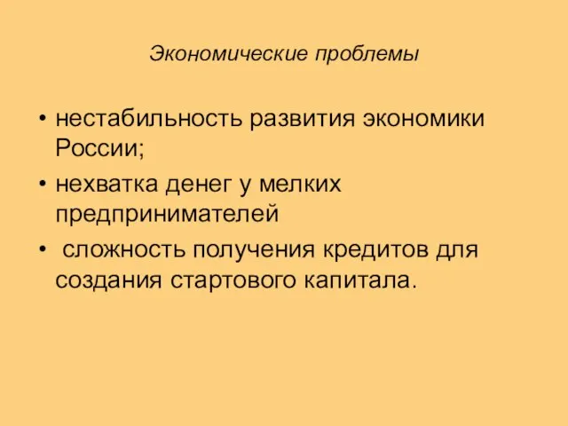 Экономические проблемы нестабильность развития экономики России; нехватка денег у мелких предпринимателей