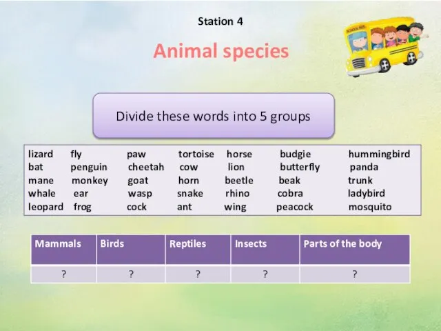 Station 4 Animal species Divide these words into 5 groups