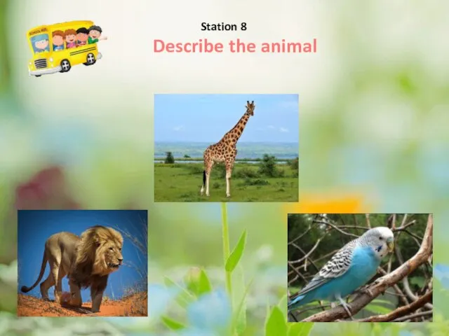 Describe the animal Station 8