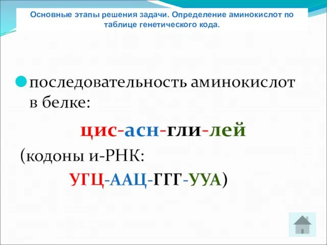 последовательность аминокислот в белке: цис-асн-гли-лей (кодоны и-РНК: УГЦ-ААЦ-ГГГ-УУА) Основные этапы решения