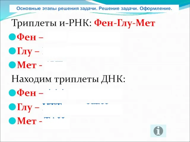 Триплеты и-РНК: Фен-Глу-Мет Фен – УУУ или УУЦ Глу – ГАА