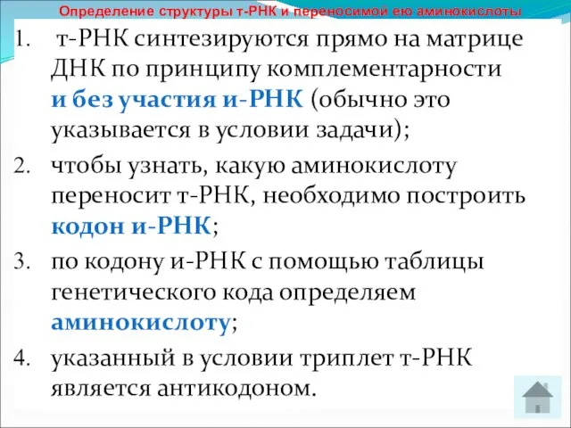 т-РНК синтезируются прямо на матрице ДНК по принципу комплементарности и без