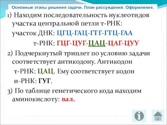 1) Находим последовательность нуклеотидов участка центральной петли т-РНК: участок ДНК: ЦГЦ-ГАЦ-ГТГ-ГТЦ-ГАА