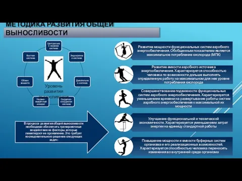 МЕТОДИКА РАЗВИТИЯ ОБЩЕЙ ВЫНОСЛИВОСТИ Уровень развития выносливости