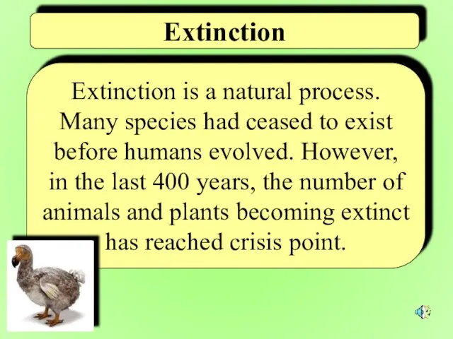 Extinction is a natural process. Many species had ceased to exist