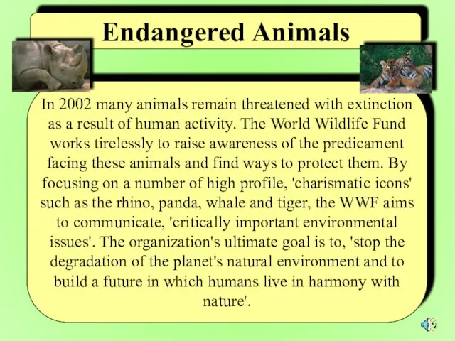 In 2002 many animals remain threatened with extinction as a result