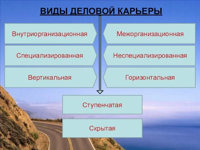 ВИДЫ ДЕЛОВОЙ КАРЬЕРЫ Внутриорганизационная Межорганизационная Специализированная Вертикальная Неспециализированная Горизонтальная Ступенчатая Скрытая