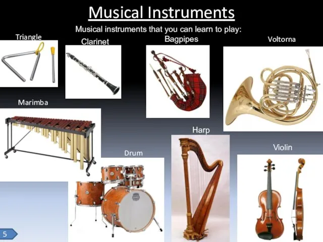 Musical Instruments 5 Musical instruments that you can learn to play:
