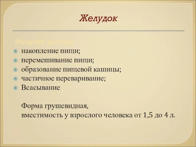 Желудок Функции желудка: накопление пищи; перемешивание пищи; образование пищевой кашицы; частичное