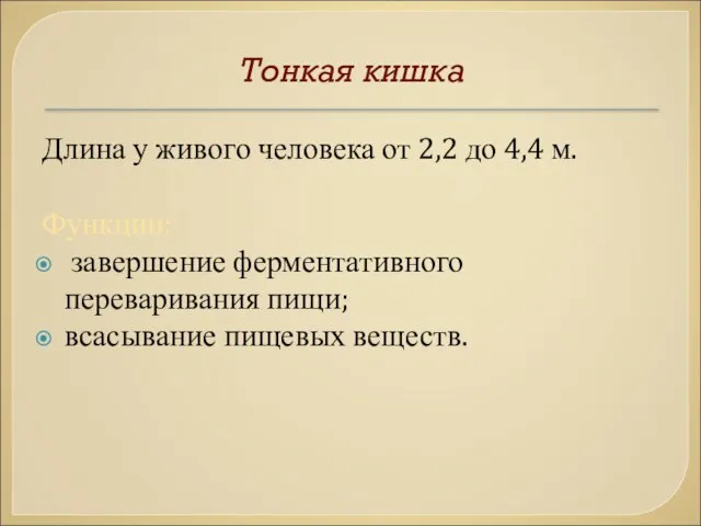 Тонкая кишка Длина у живого человека от 2,2 до 4,4 м.