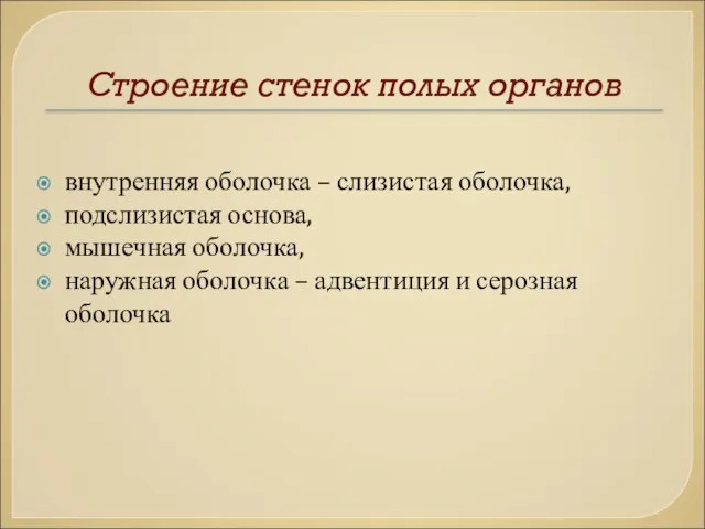 Строение стенок полых органов внутренняя оболочка – слизистая оболочка, подслизистая основа,