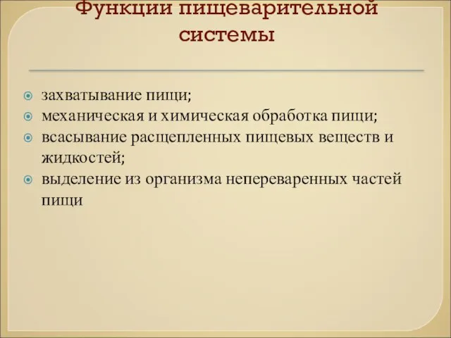 Функции пищеварительной системы захватывание пищи; механическая и химическая обработка пищи; всасывание