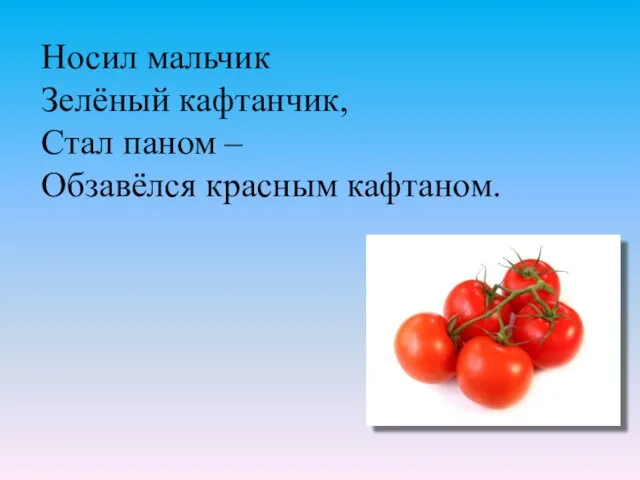 Носил мальчик Зелёный кафтанчик, Стал паном – Обзавёлся красным кафтаном.