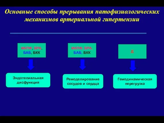 Эндотелиальная дисфункция Гемодинамическая перегрузка Ремоделирование сосудов и сердца ИАПФ, БРА, БАБ,