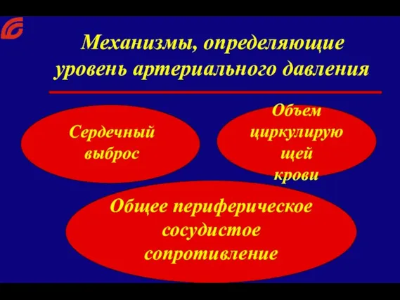 Механизмы, определяющие уровень артериального давления Сердечный выброс Объем циркулирующей крови Общее периферическое сосудистое сопротивление