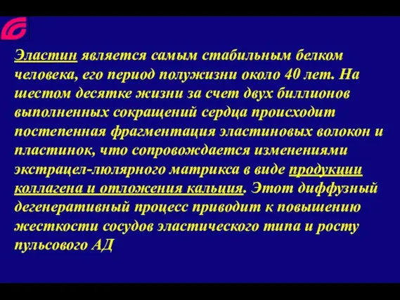 Эластин является самым стабильным белком человека, его период полужизни около 40