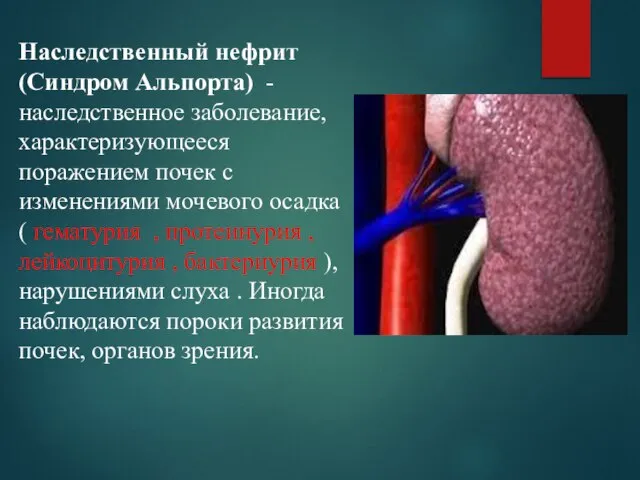 Наследственный нефрит (Синдром Альпорта) - наследственное заболевание, характеризующееся поражением почек с