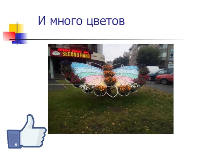 И много цветов