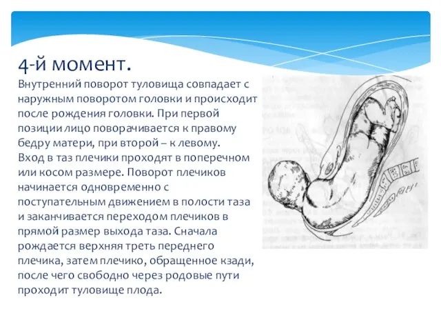 4-й момент. Внутренний поворот туловища совпадает с наружным поворотом головки и