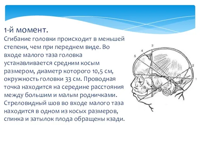 1-й момент. Сгибание головки происходит в меньшей степени, чем при переднем