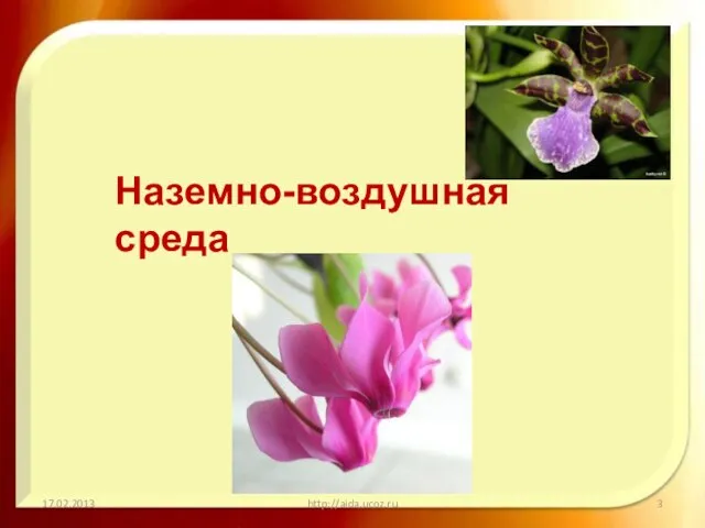 17.02.2013 http://aida.ucoz.ru Наземно-воздушная среда