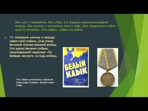 Они шли с человеком, бок о бок, а в трудные времена