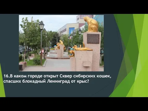 16.В каком городе открыт Сквер сибирских кошек, спасших блокадный Ленинград от крыс?