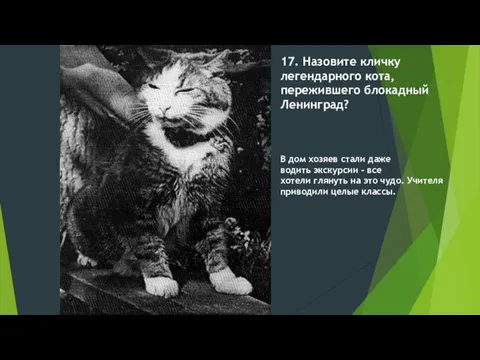 17. Назовите кличку легендарного кота, пережившего блокадный Ленинград? В дом хозяев