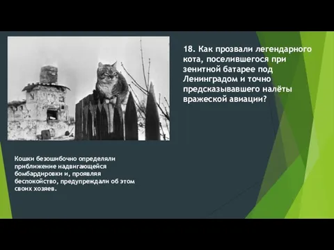 Вопрос: 18. Как прозвали легендарного кота, поселившегося при зенитной батарее под