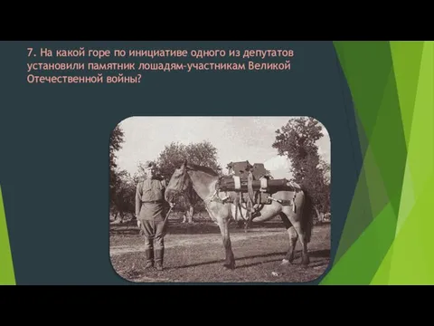 7. На какой горе по инициативе одного из депутатов установили памятник лошадям–участникам Великой Отечественной войны?