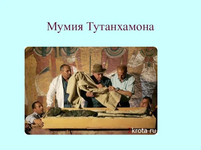 Мумия Тутанхамона