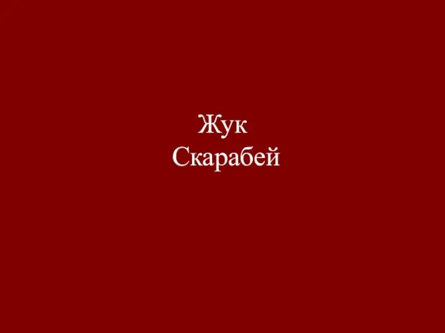 Жук Скарабей