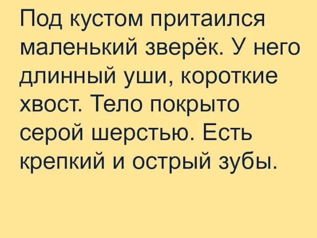 Под кустом притаился маленький зверёк. У него длинный уши, короткие хвост.