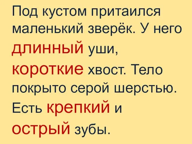 Под кустом притаился маленький зверёк. У него длинный уши, короткие хвост.