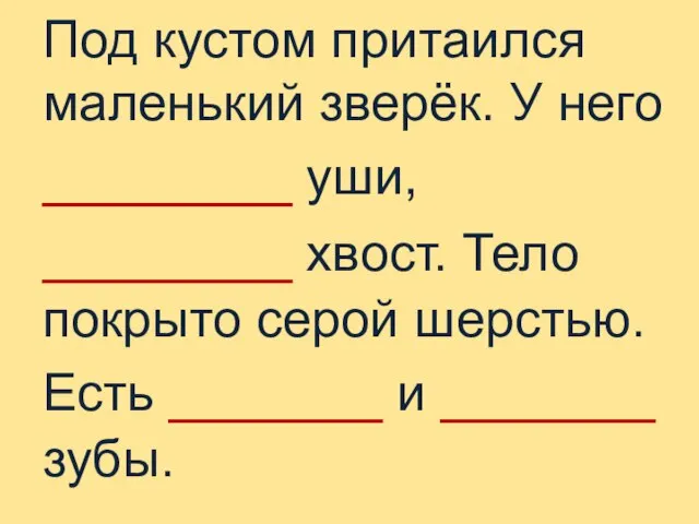 Под кустом притаился маленький зверёк. У него _______ уши, _______ хвост.