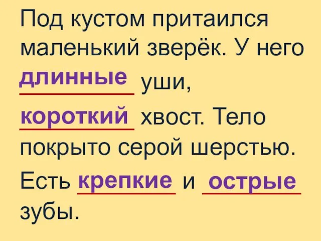 Под кустом притаился маленький зверёк. У него _______ уши, _______ хвост.