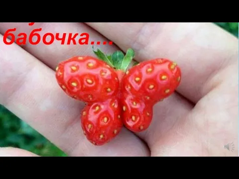 Клубника – бабочка....