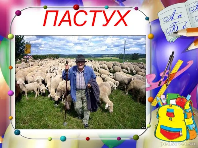 ПАСТУХ