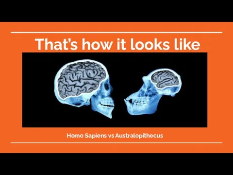 That’s how it looks like Homo Sapiens vs Australopithecus