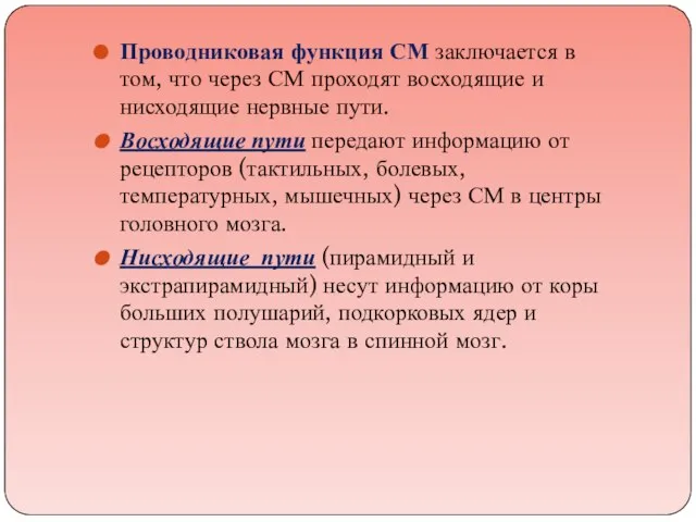 Проводниковая функция СМ заключается в том, что через СМ проходят восходящие