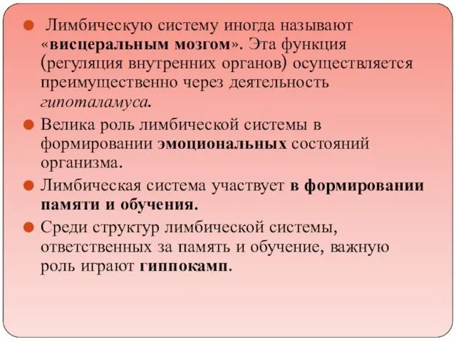 Лимбическую систему иногда называют «висцеральным мозгом». Эта функция (регуляция внутренних органов)