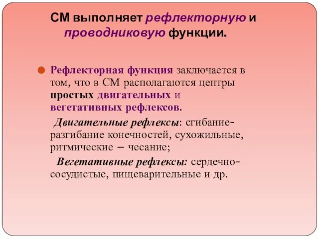 СМ выполняет рефлекторную и проводниковую функции. Рефлекторная функция заключается в том,