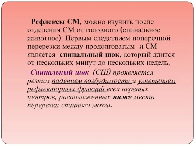 Рефлексы СМ, можно изучить после отделения СМ от головного (спинальное животное).