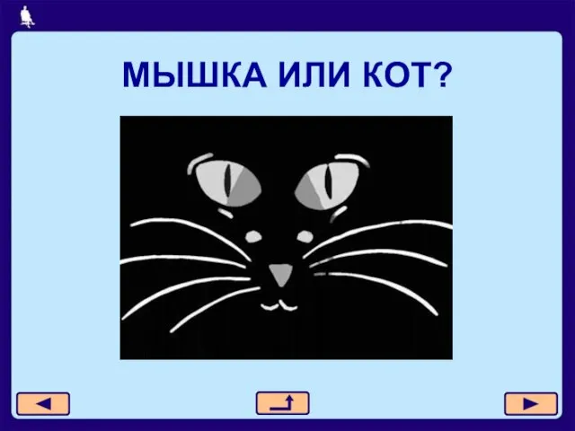 МЫШКА ИЛИ КОТ?